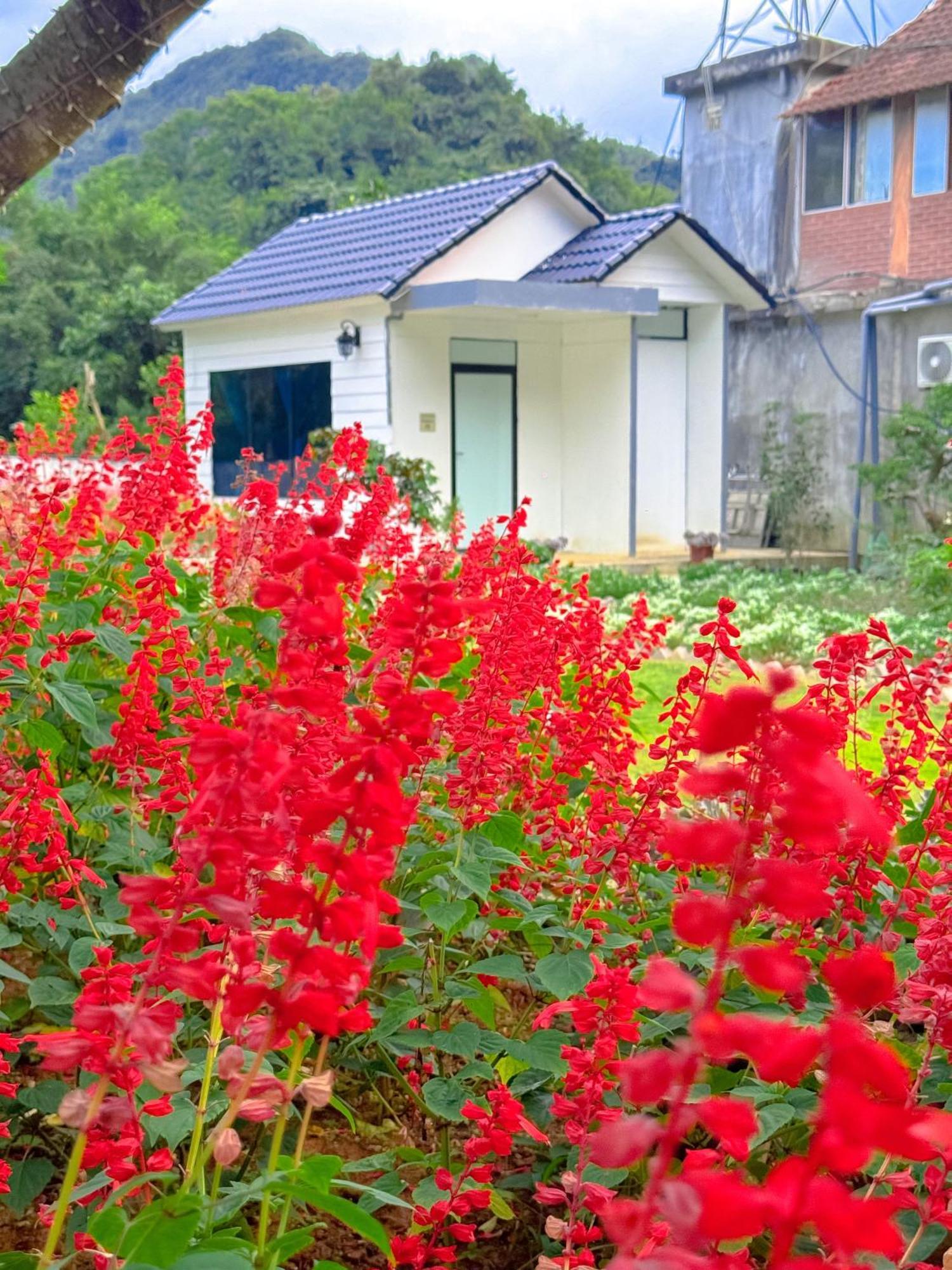 Moc Chau House Hotel Екстериор снимка